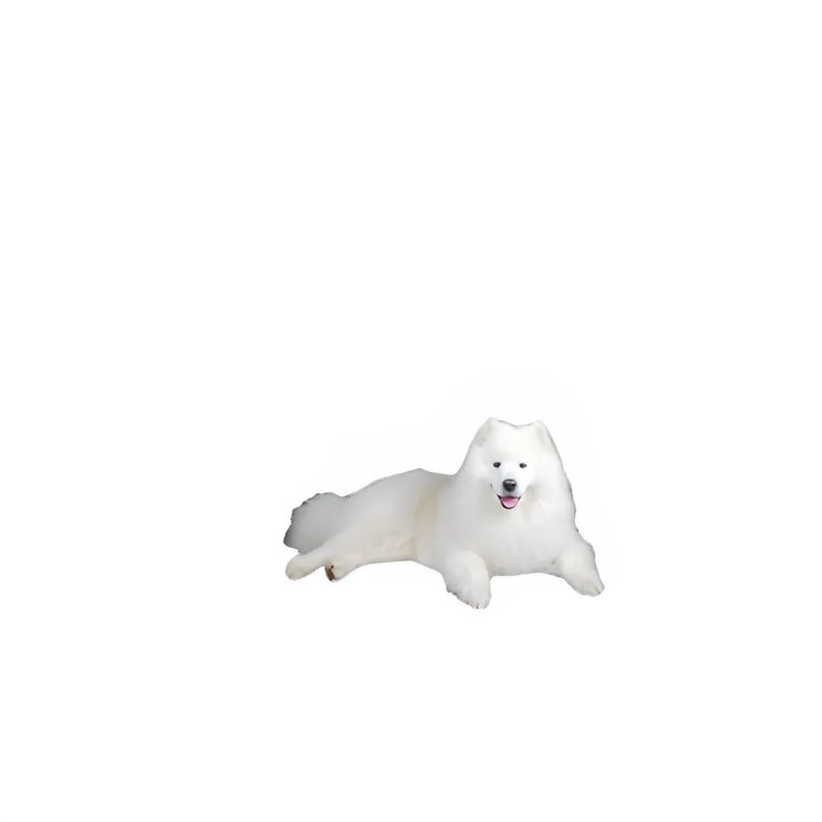 53ee05f7-dfd0-4b39-9d30-dd0336d1be92